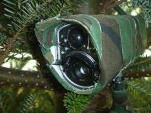 Kamery w lesie