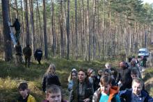 Akcja nietoperze na terenie Leśnictwa Leśnice