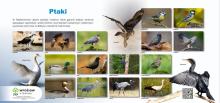 Zaproszenie na bezpłatne warsztaty ornitologiczne w okolicach Jeziora Sarbskiego